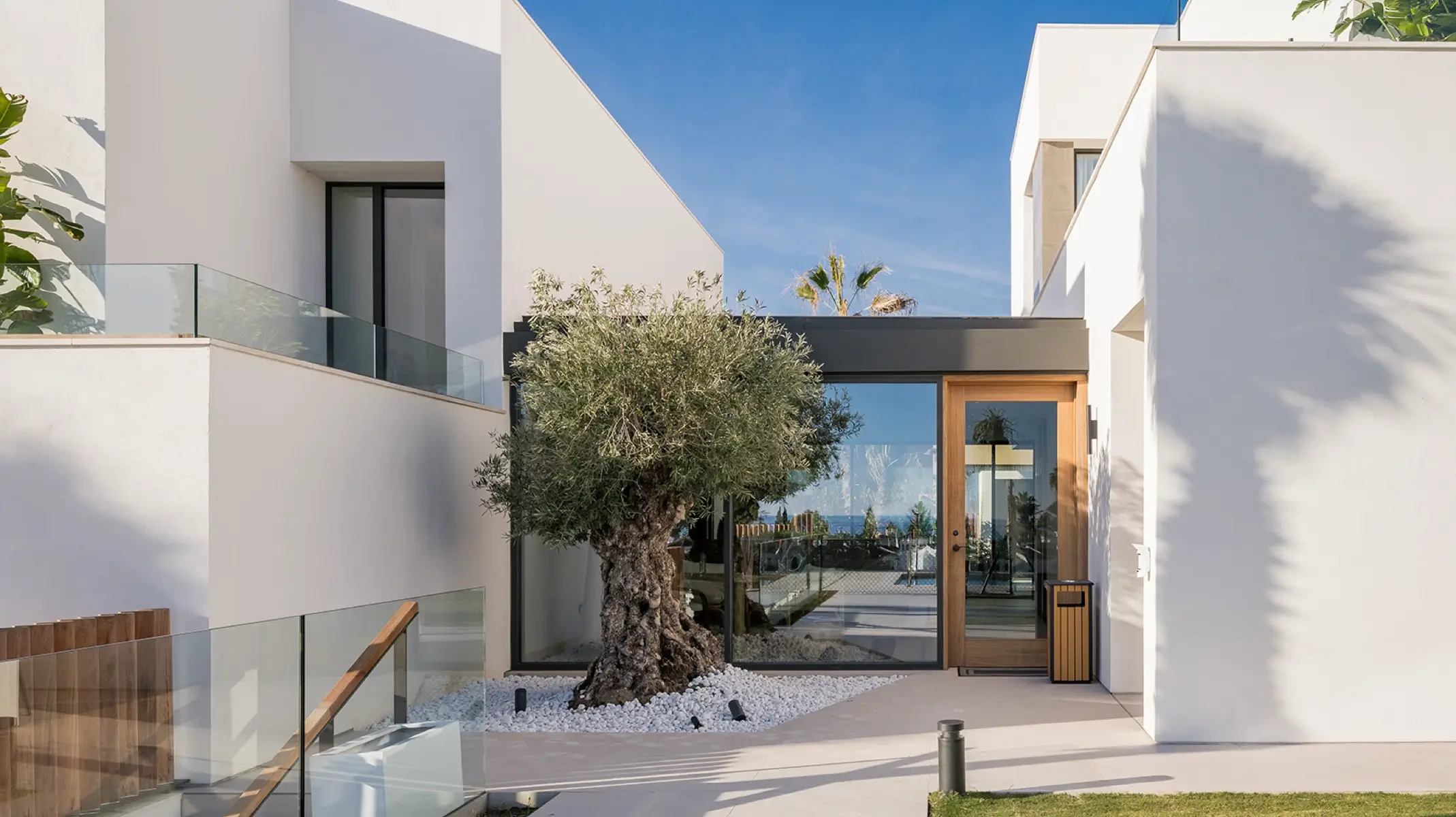 Außeneingang von Naghoi — hundertjähriger Olivenbaum, moderne weiße Architektur und mediterraner Garten, Costa del Sol, Spanien.
